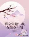 萌宝穿越：我有随身空间