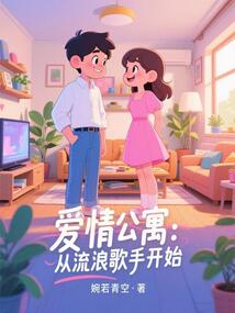 爱情公寓:从流浪歌手开始
