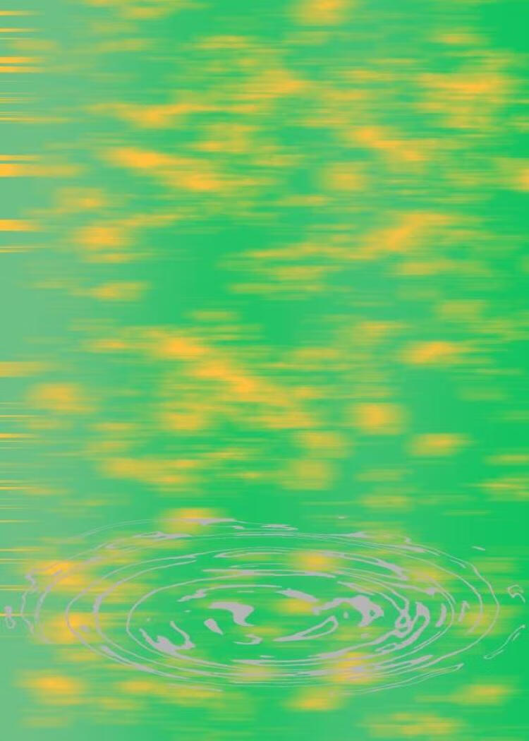 前妻来听我的演唱会