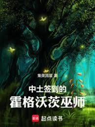 中土签到的霍格沃茨巫师