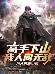 高手下山,我已人间无敌!