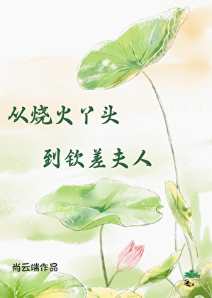 从烧火丫头到钦差夫人