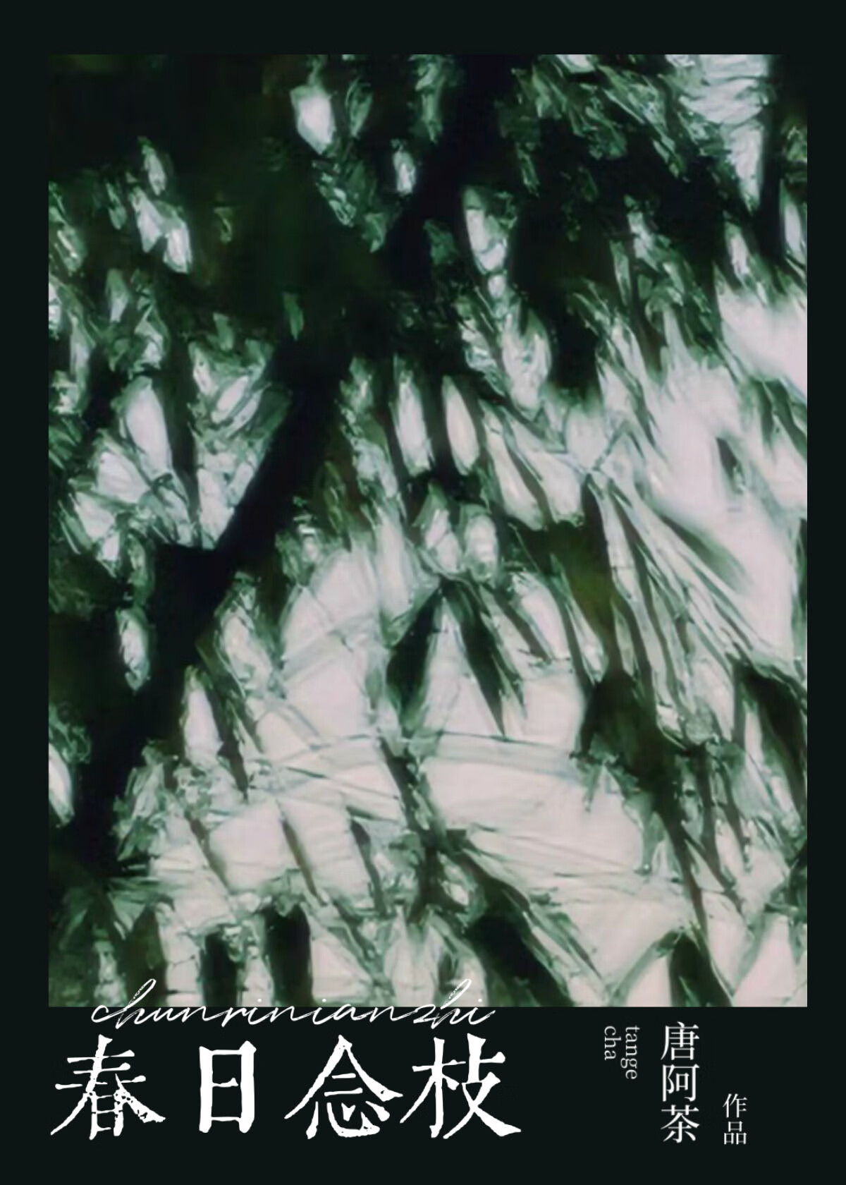 春日念枝[强取豪夺]