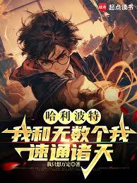 哈利波特:我和无数个我速通诸天
