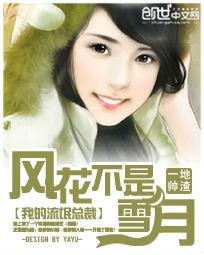 我的流氓总裁:风花不是雪月